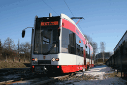 FLEXITY-Classic-trams