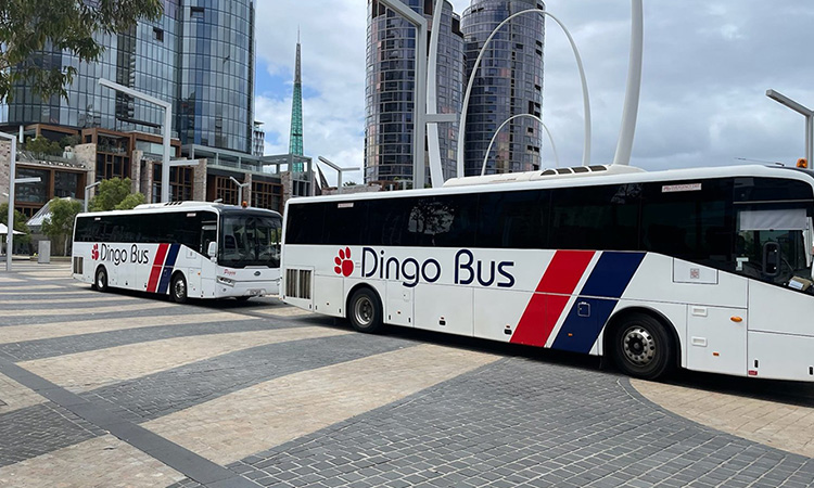 Kinetic expands in Western Australia with acquisition of Dingo Bus Charter