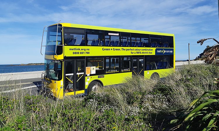 Wellington restores 113 bus services as driver recruitment revives Metlink timetables