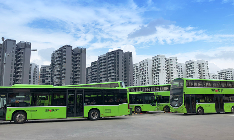 Singapore buses