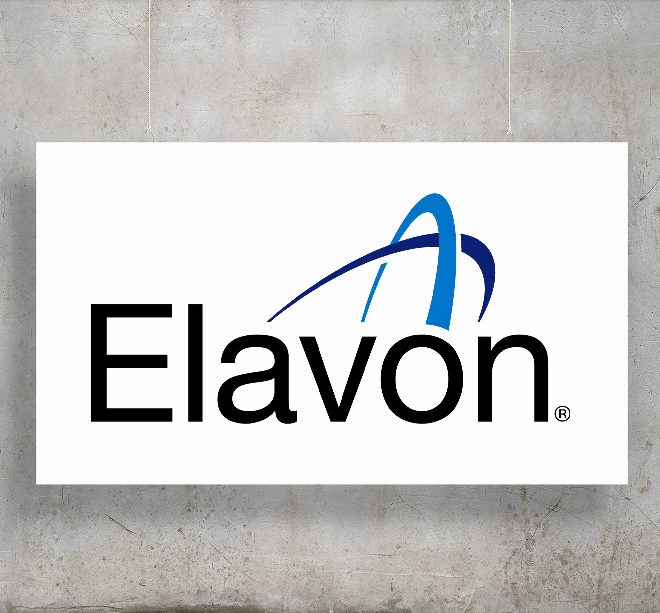 Elavon company profile