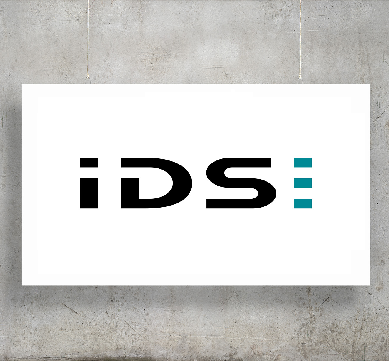 IDS company profile image