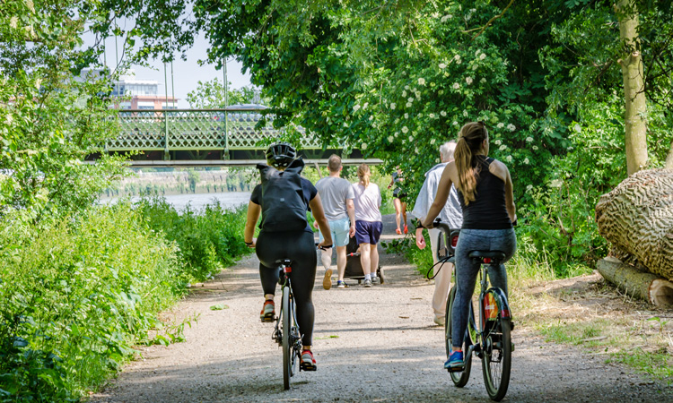 TfL awards funding to community groups encouraging walking and cycling