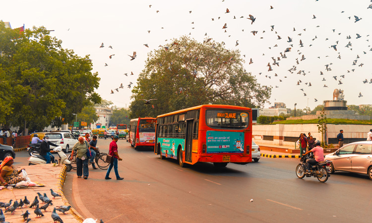 Delhi offers free bus transport for women