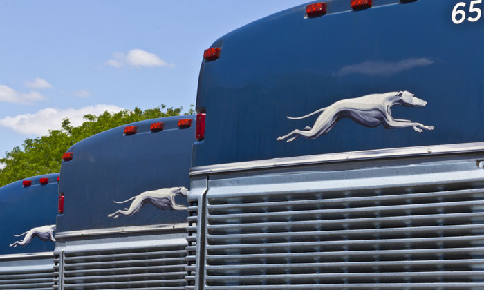 Show and Go: Greyhound upgrades travel with e-ticketing