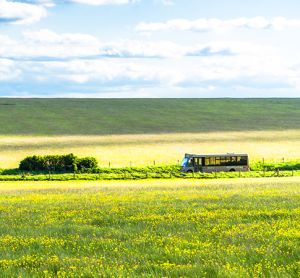 Calls made to support transition to net zero for rural bus services in UK