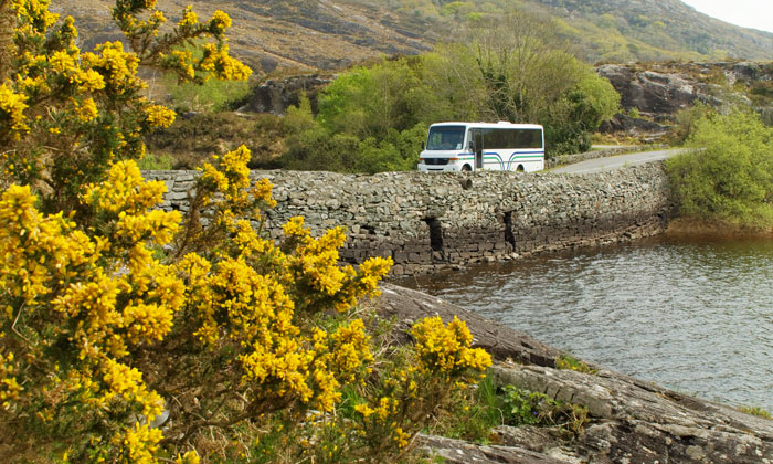 Minister Ring launches Local Link rural public transport brand